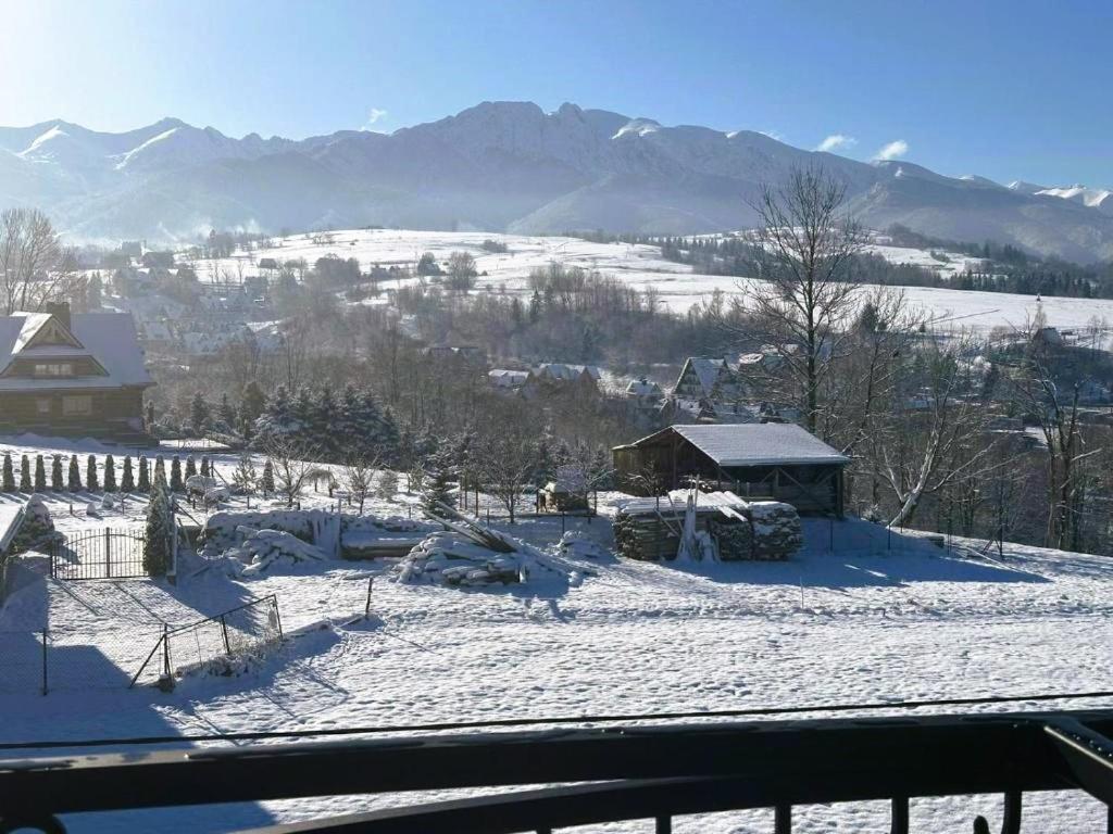 Apartamenty Gorskie Widoki ポロニン エクステリア 写真